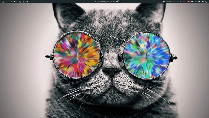 Cosmic Cat