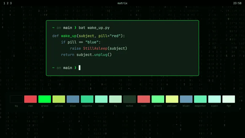 Enter The Matrix